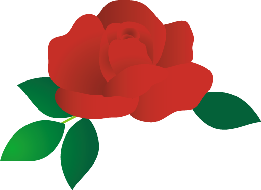 可愛いバラ 薔薇 のイラスト 無料イラスト フリー素材