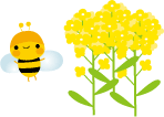 菜の花とミツバチのイラスト